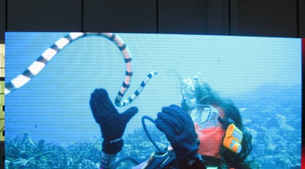 美股四次熔斷，會對室內全彩led顯示屏行業造成怎樣的影響呢